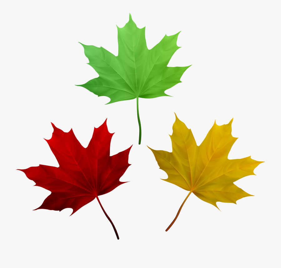 Canada Day Clipart, Transparent Clipart