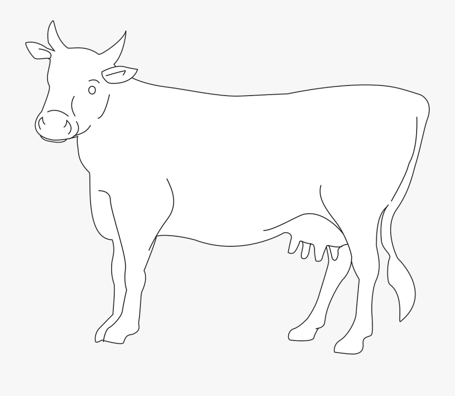 Cow Cattle Livestock Free Photo - Cow Vector Png White, Transparent Clipart