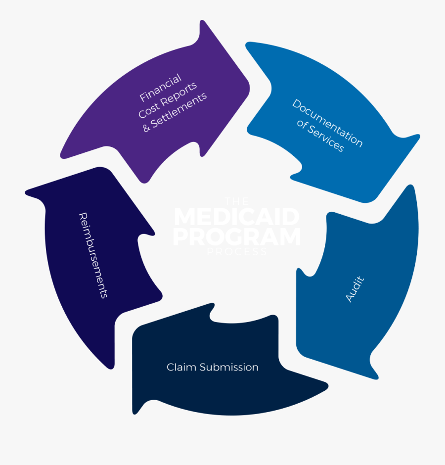 We Understand The Medicaid Program Process - Asset Allocation Investment Process, Transparent Clipart