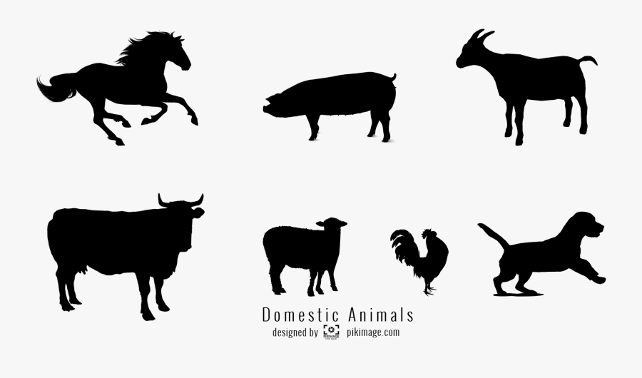 Sheep Cattle Horse Pig - All Animals Vectors Png, Transparent Clipart