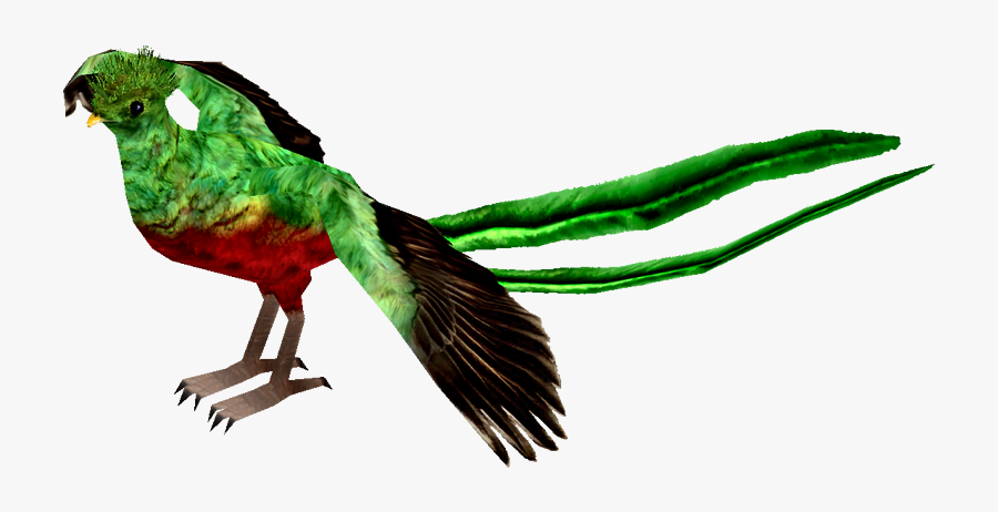 Resplendent Quetzal - Quetzal .png, Transparent Clipart