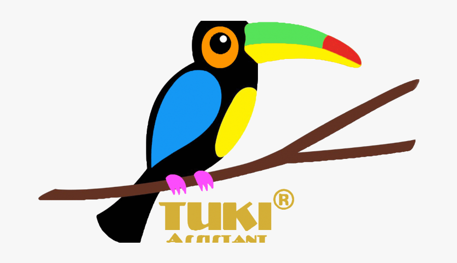 Encyclopedia Clipart , Png Download - Toucan, Transparent Clipart