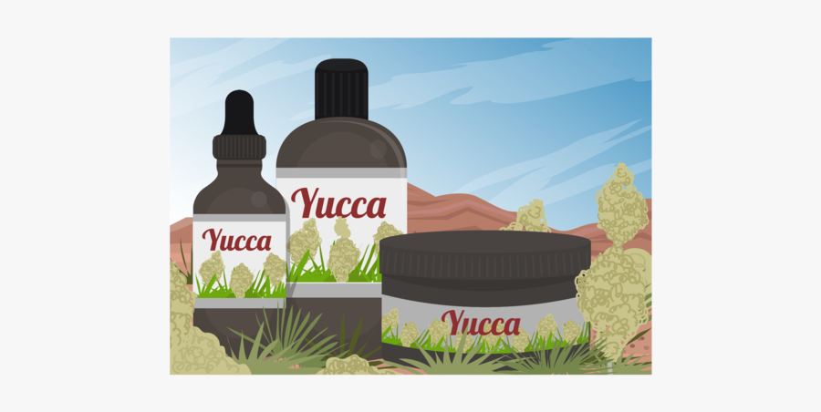 Yucca Szene Und Yucca Medizin Auszug Des Vektors - Tree, Transparent Clipart