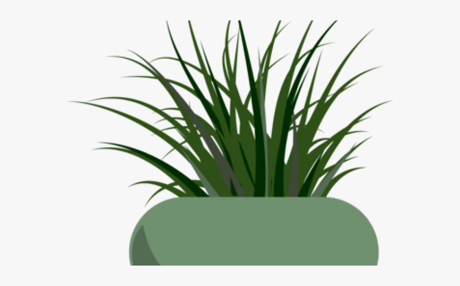 Pot Plant Clipart Land Clipart - Grass Clip Art, Transparent Clipart