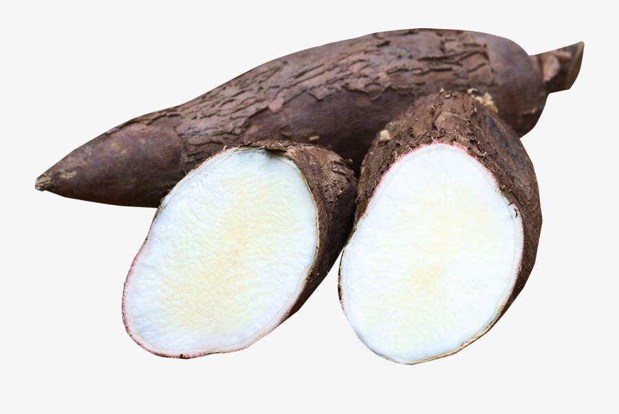 Images Pngpix Cassava Image - Manioc Png, Transparent Clipart