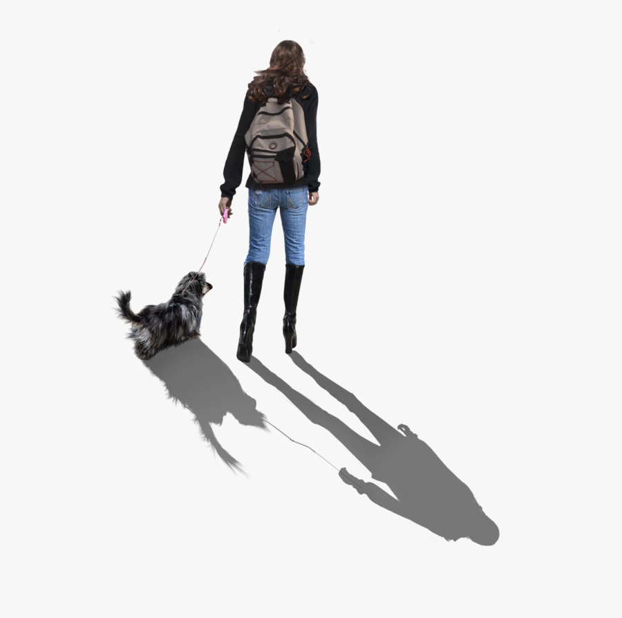 Transparent Dog Png Clipart - Walking Shadows Png, Transparent Clipart