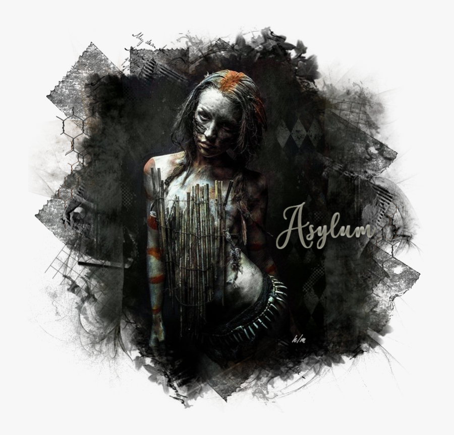 Stefan Gesell Photography, Transparent Clipart