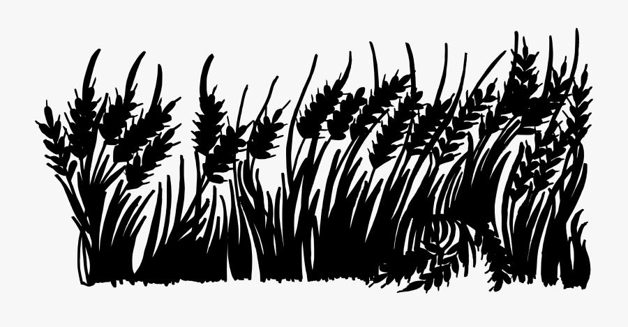 Black And White Monochrome Photography Silhouette - Grass Black And White Transparent Background, Transparent Clipart