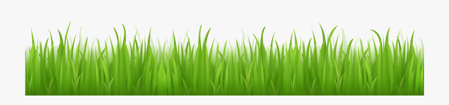 Beautiful Nature Background - Grass With Transparent Backgrounds, Transparent Clipart