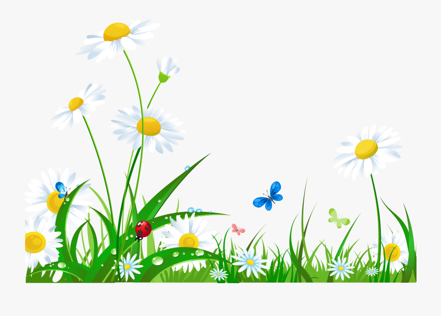 28 Collection Of Nature Background Clipart Png High - High Resolution ...