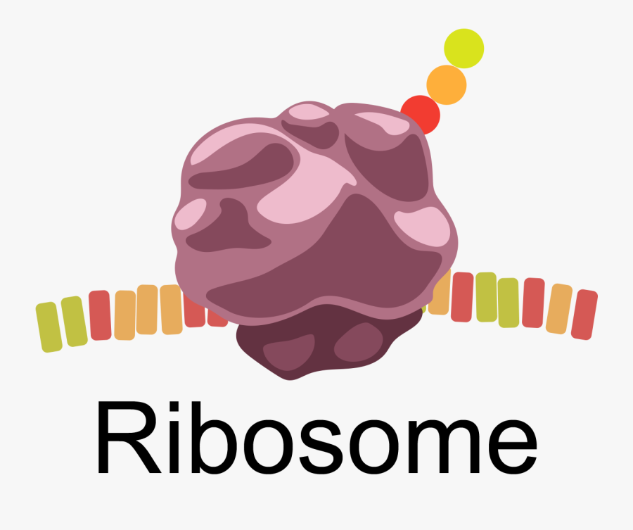 Shapoorji Pallonji Logo Png Clipart , Png Download - Nei Til Uadressert Post, Transparent Clipart