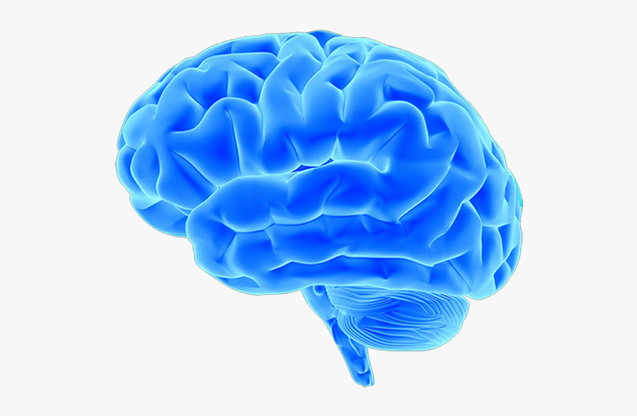 Blue Brain Project Neuroimaging Pink Brain, Blue Brain - Blue Brain Transparent Background, Transparent Clipart