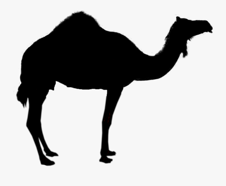 Camel Silhouette Royalty-free Clip Art - Camel Silhouette, Transparent Clipart