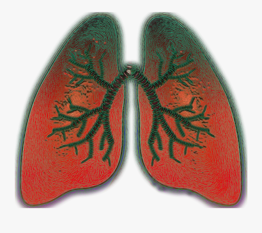 Respiratory Clipart, Transparent Clipart