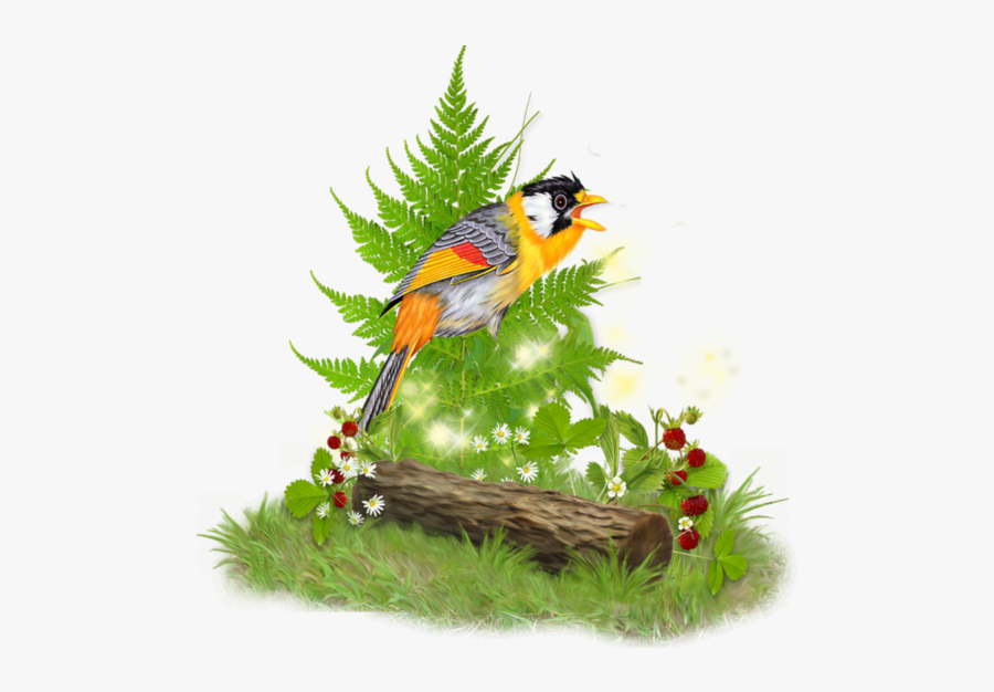 Greeting, Transparent Clipart