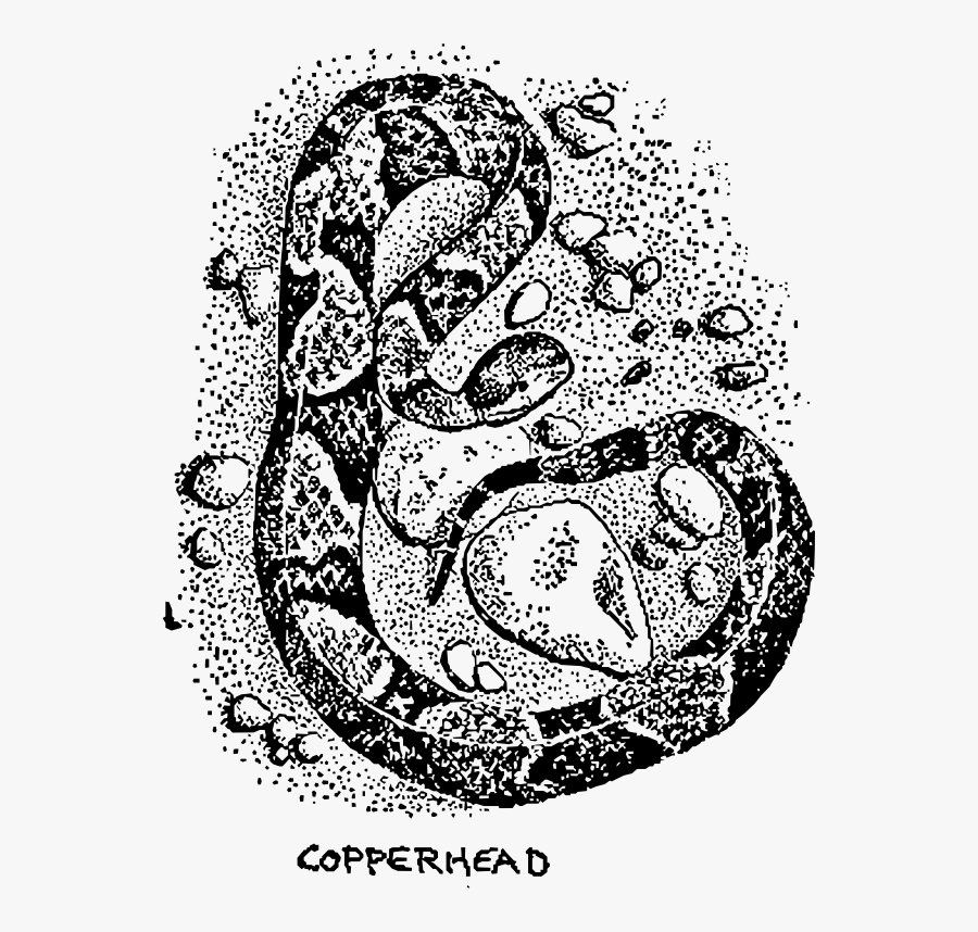 Copperhead Snake - Background Collage Snake, Transparent Clipart