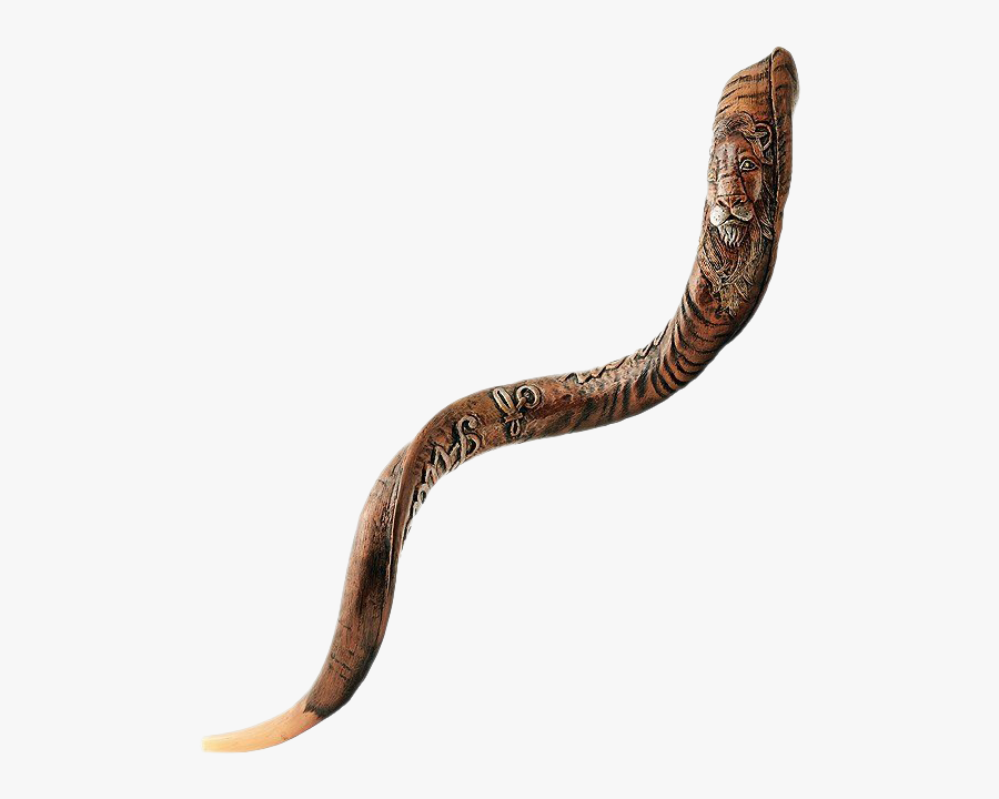 Shofar Png Pic - Northern Copperhead, Transparent Clipart