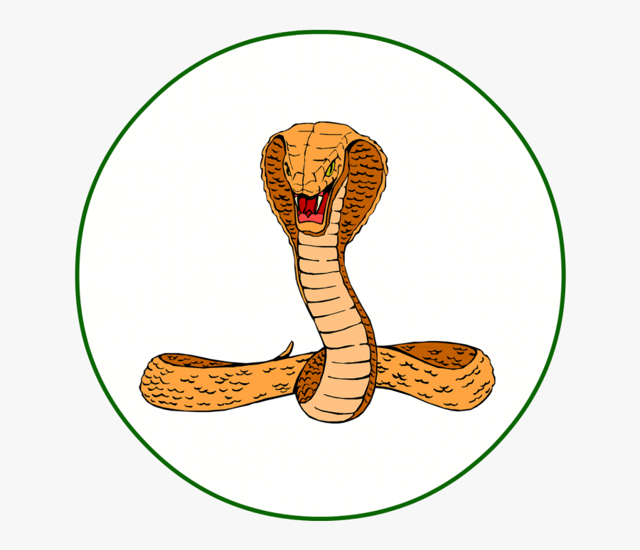 Realistic Snake Clip Art, Transparent Clipart