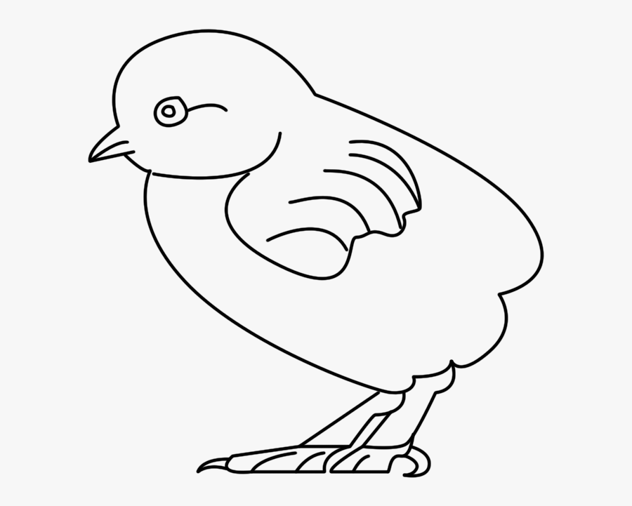Chick Clipart Png - Line Art, Transparent Clipart