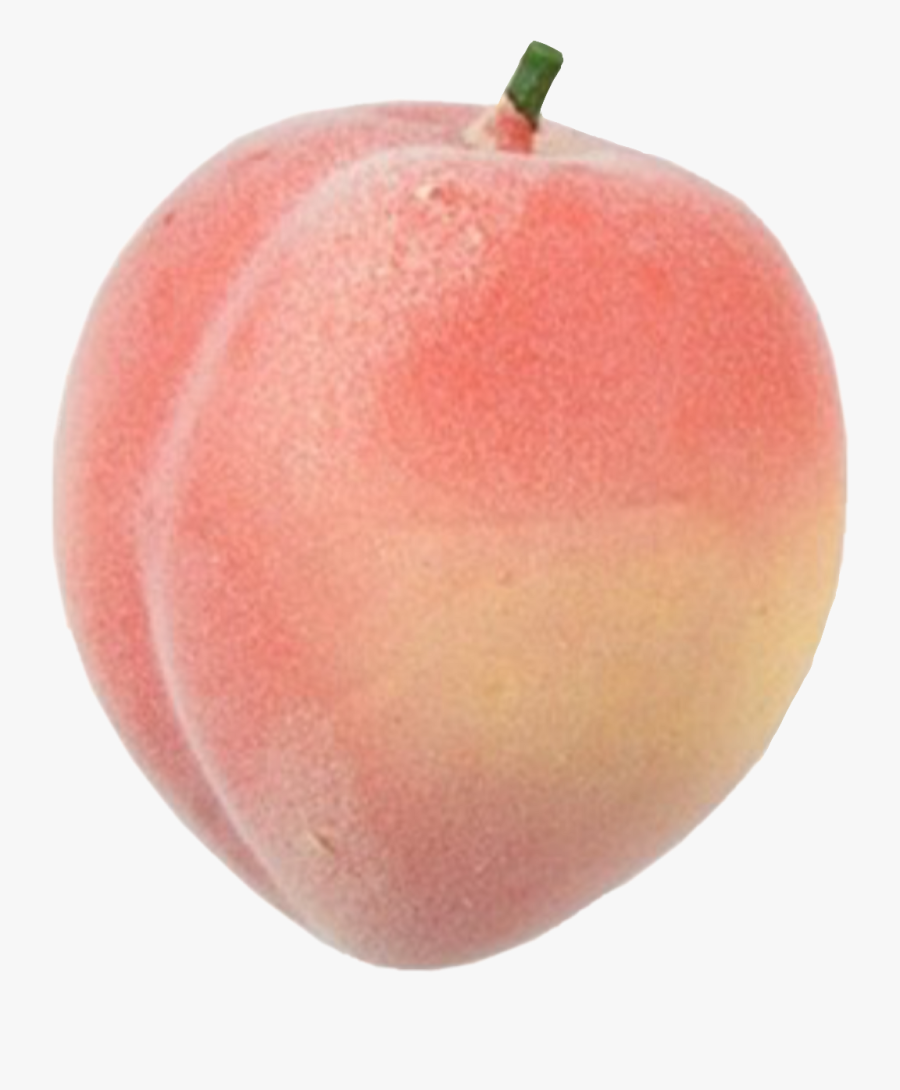 Transparent Nectarine Clipart - Nectarine, Transparent Clipart