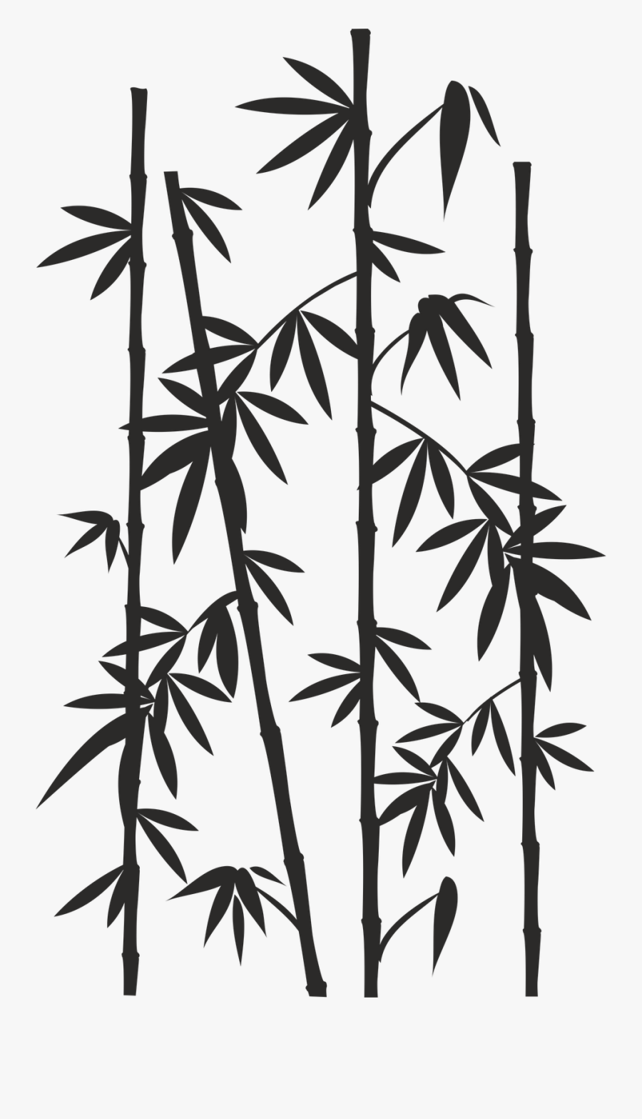 Bamboo Image Drawing Reed Silhouette - Bamboo Drawing Png, Transparent Clipart