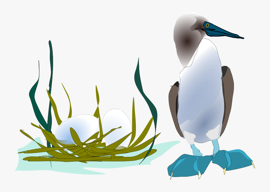 Sea Bird 1 - Bird, Transparent Clipart