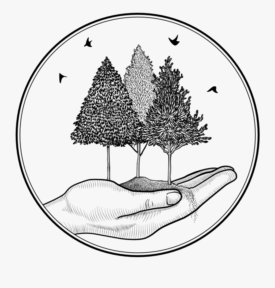 Oboe Drawing Line - Line Art, Transparent Clipart