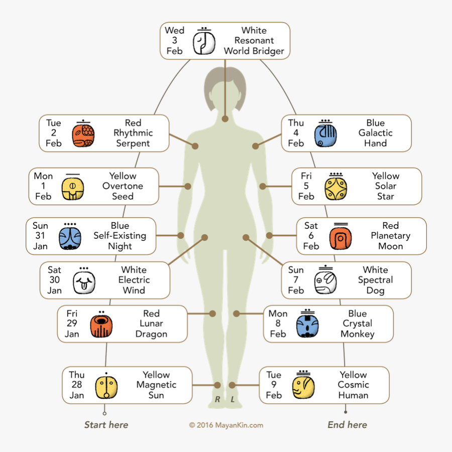 Blue Eagle Mayan, Transparent Clipart