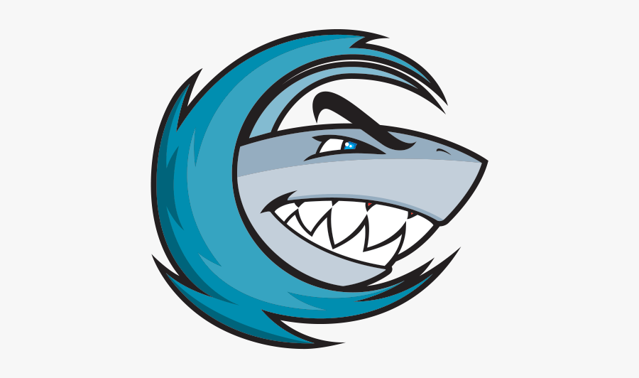 Shark Silhouette In At - Shaker Sharks, Transparent Clipart