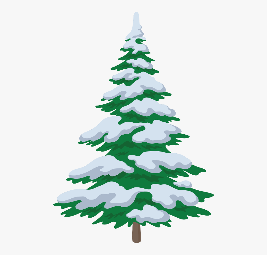 Transparent Snowy Tree Png Snow On Christmas Trees