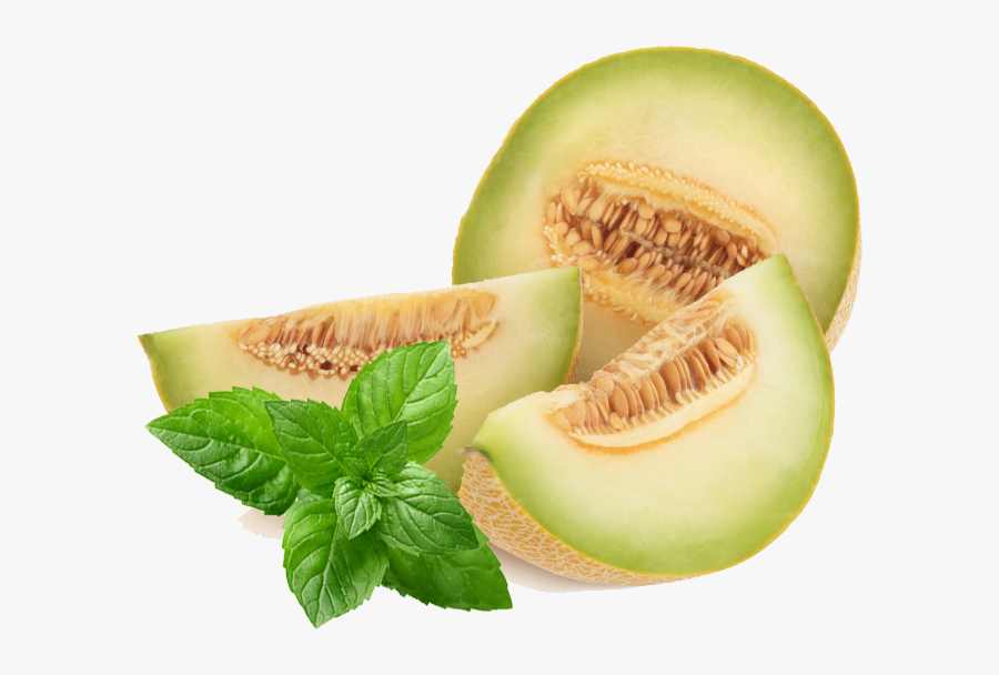 Transparent Melons Clipart - Honey Dew Png, Transparent Clipart