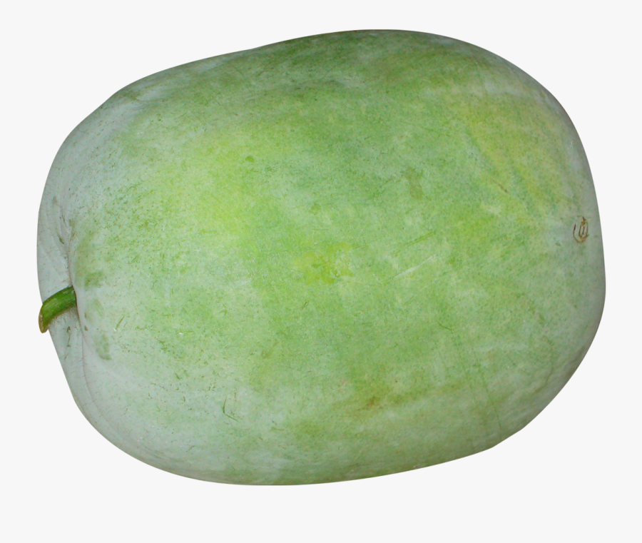 Watermelon Clipart Honeydew - Winter Melon Png, Transparent Clipart