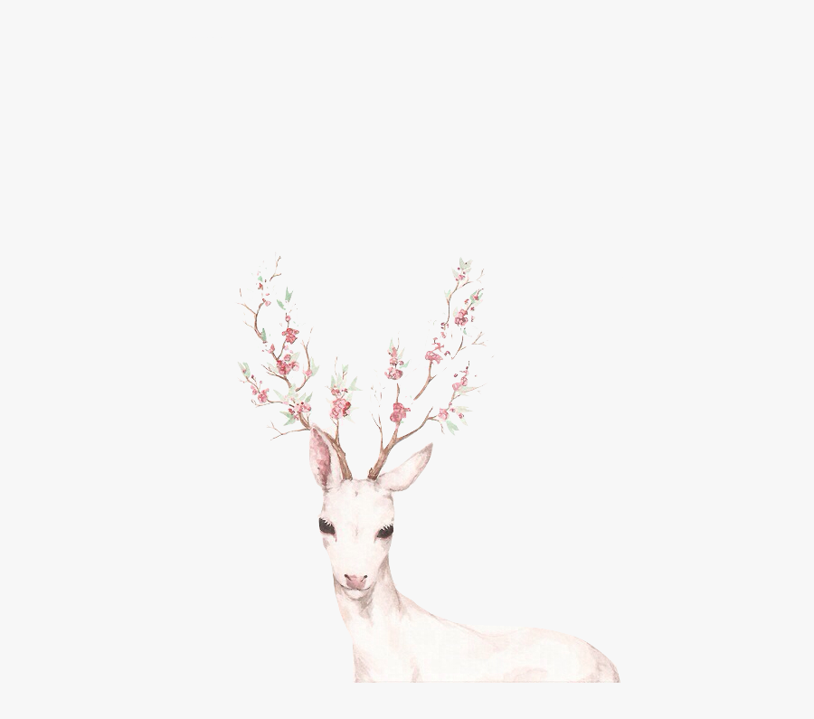 Deer White, Transparent Clipart
