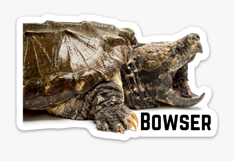 Transparent Bowser Png - Bowser Reptarium, Transparent Clipart