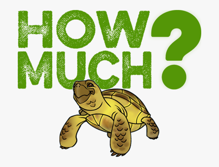 How Much Does A Russian Tortoise Cost - Russian Tortoise Price, Transparent Clipart