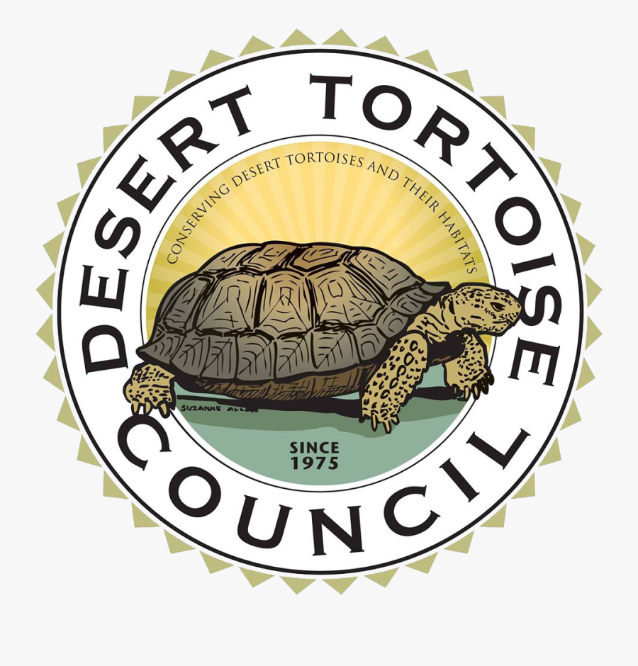 Desert Tortoise Council - Desert Tortoise, Transparent Clipart