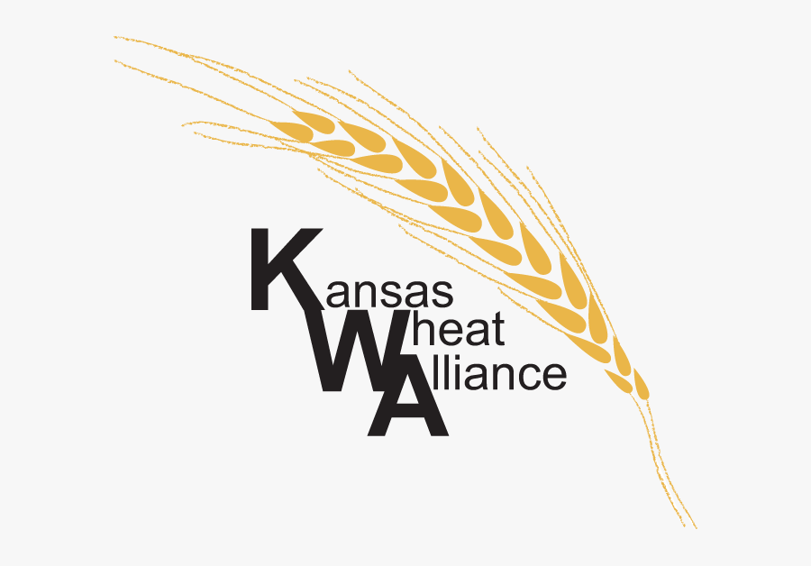 Home Kauffman Seed Kansas - Kansas Wheat Alliance, Transparent Clipart