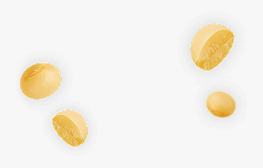 Soybean Png - Coin, Transparent Clipart