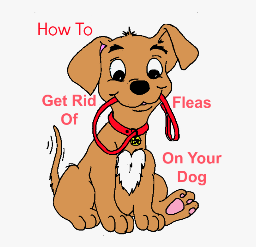 Fleas Clipart, Transparent Clipart