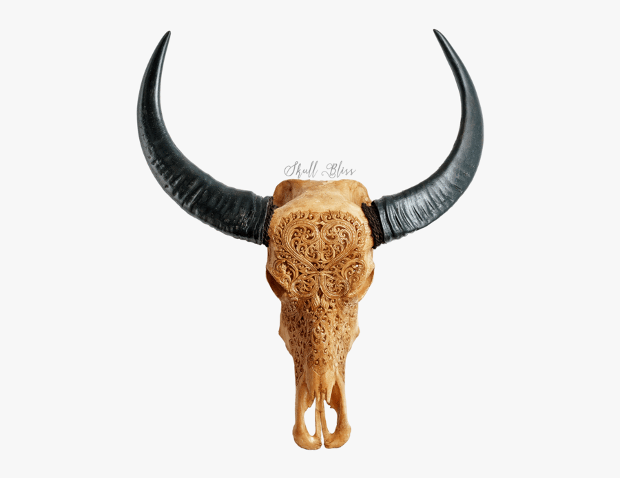 Transparent Skull Heart Png - Buffalo Skull Hd, Transparent Clipart