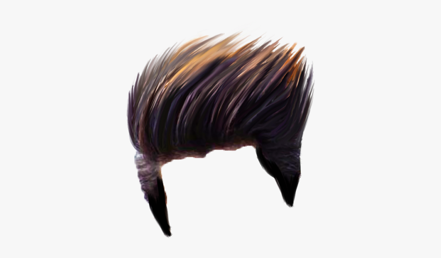 Hair Png Photo, Transparent Clipart