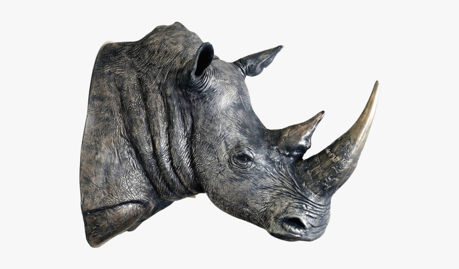 White Rhino Head Sculpture, Transparent Clipart