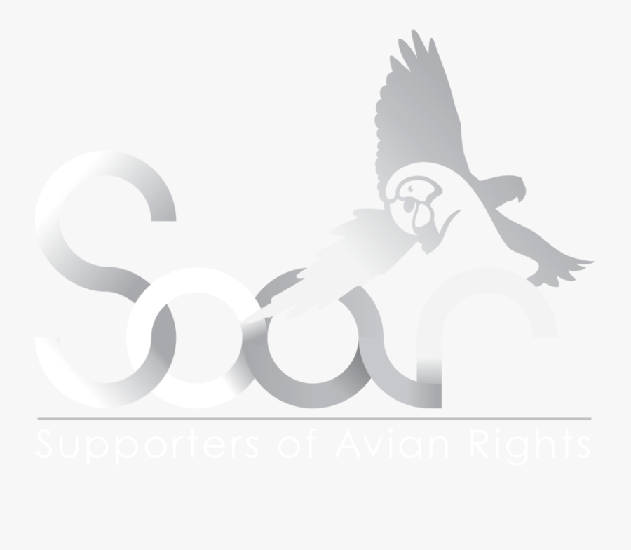 Transparent Prey Clipart - Cartoon, Transparent Clipart