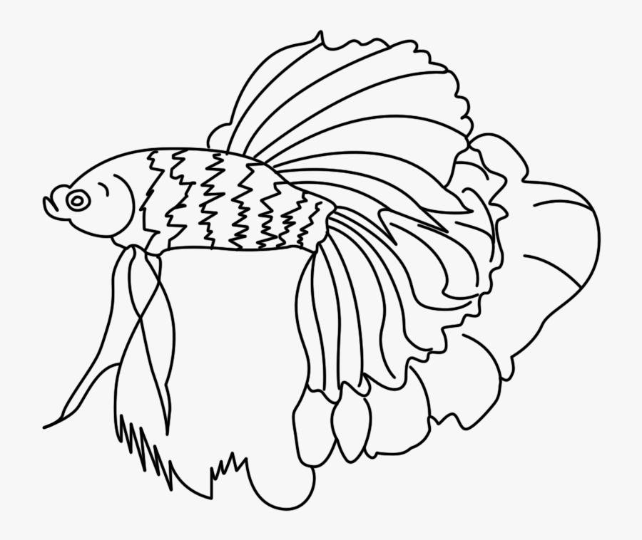 Betta Fish Clipart Png - Line Art, Transparent Clipart