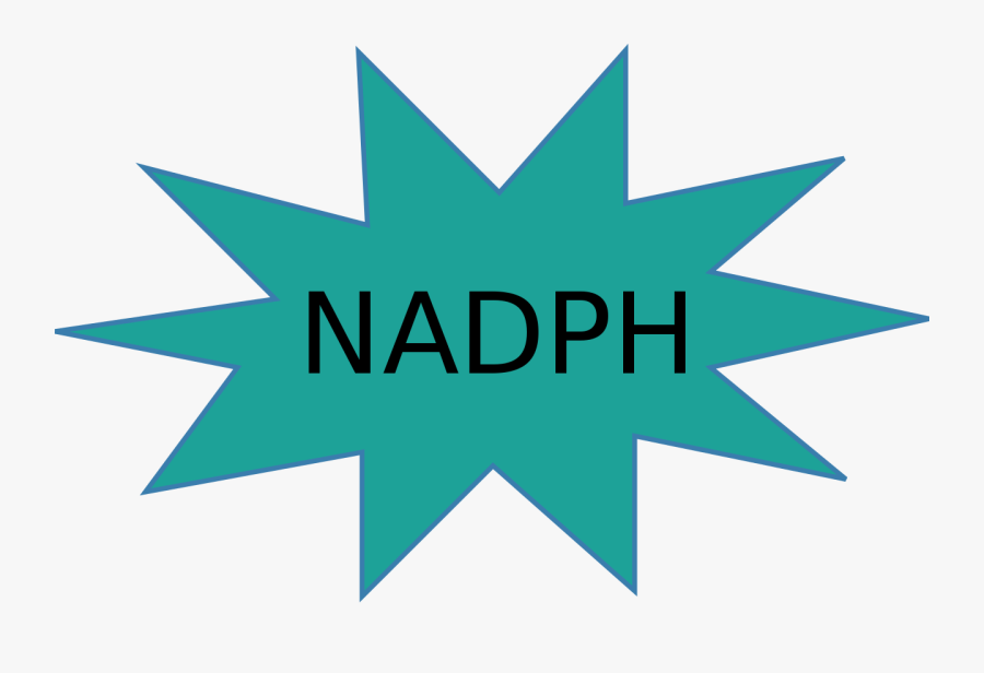 Graphic Design, Transparent Clipart