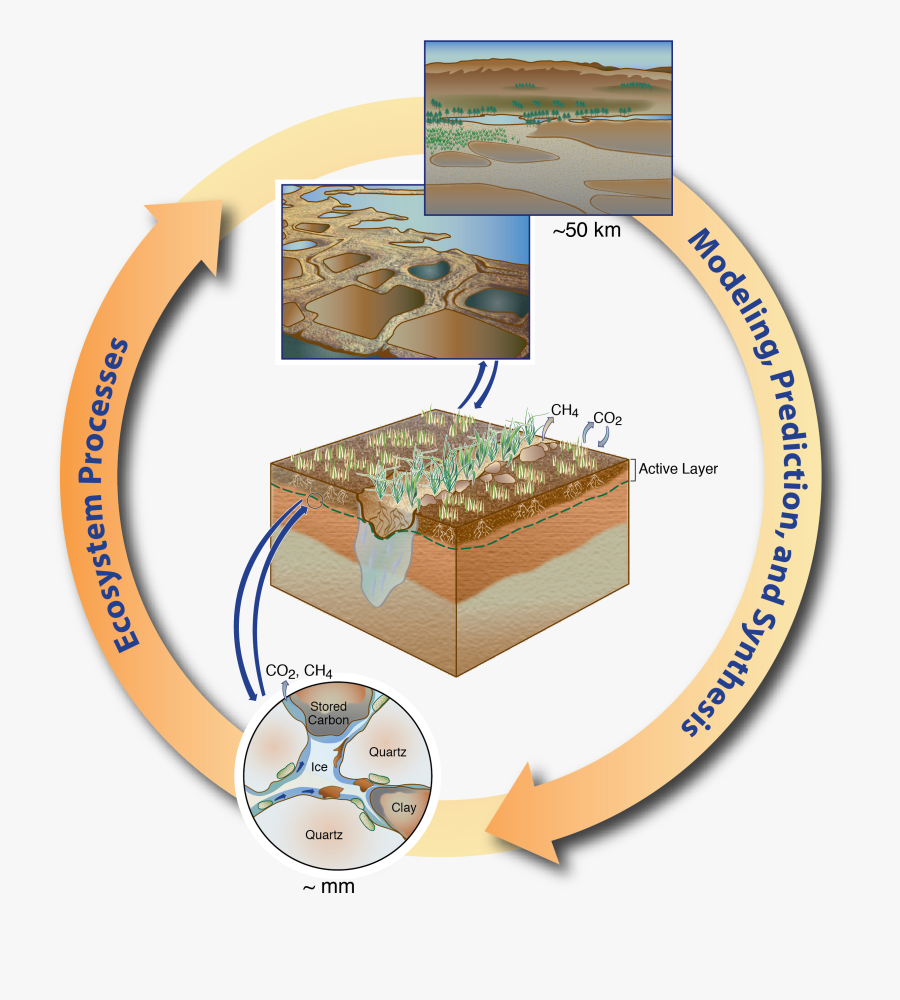 Scientist Clipart Environmental Scientist - Early Terrestrial Ecosystem, Transparent Clipart