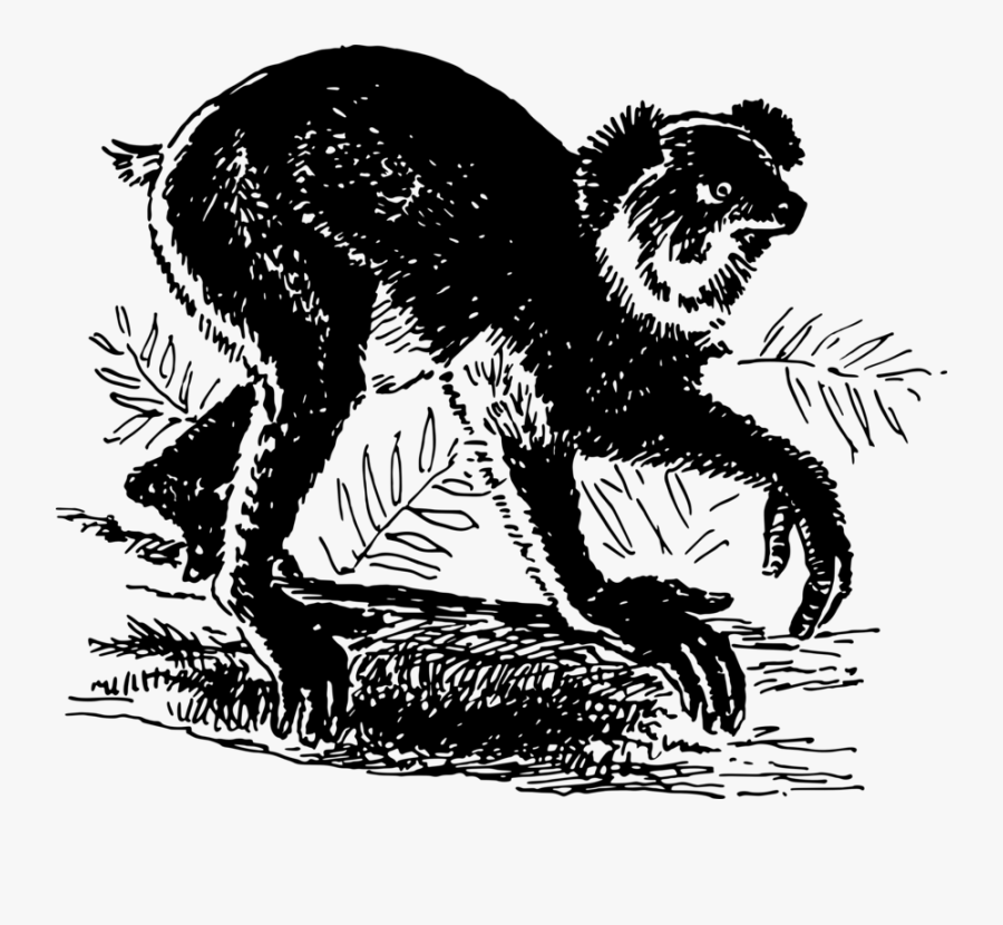 Art,monochrome Photography,carnivoran - Dog Catches Something, Transparent Clipart