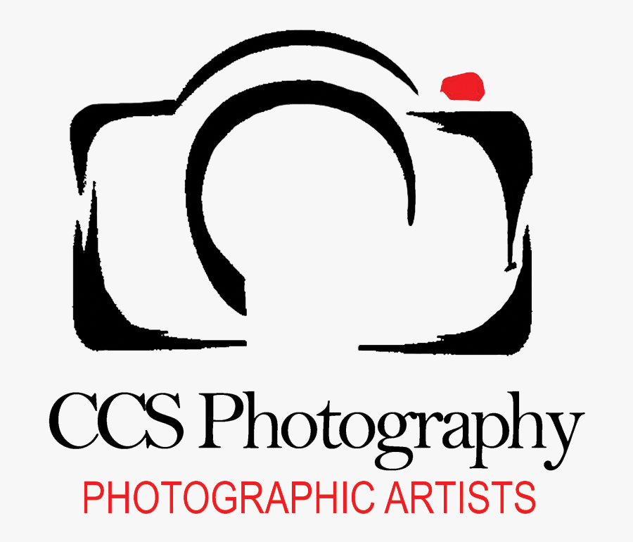 Transparent Photographer Clipart - Grupo Gen, Transparent Clipart