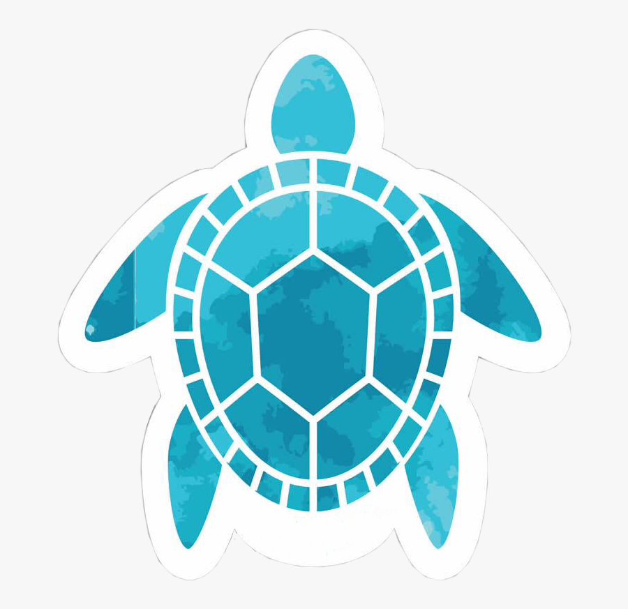 beach turtle sea aloha hawaii aesthetic blue