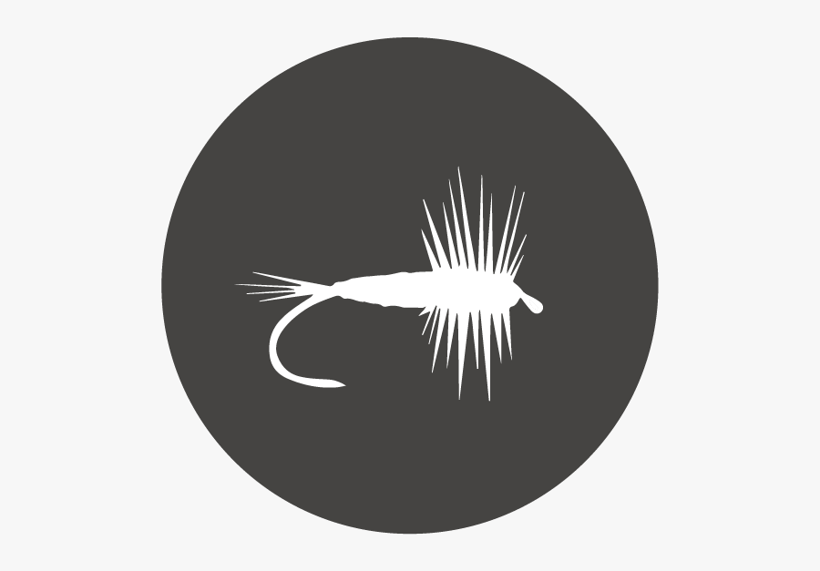 Fly Fishing Png - Shrimp, Transparent Clipart